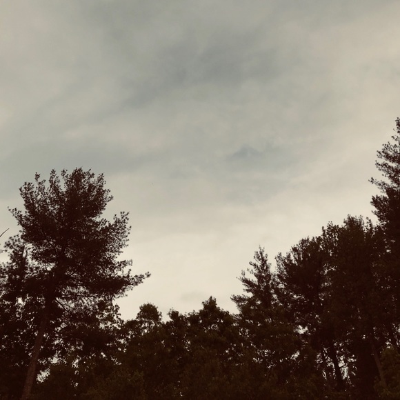 Meet your Posher, Brooke - Picture 1 of 1